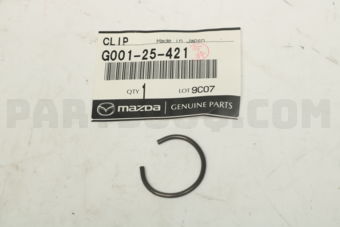 G00125421 CLIP