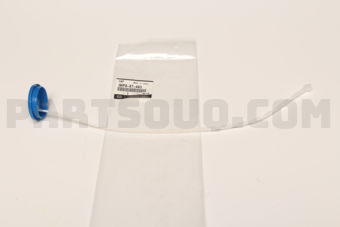 GHP967483 CAP,TANK