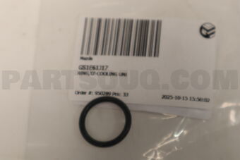 GS1E61J17 RING, O -COOLING UNI