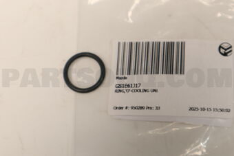 GS1E61J17 RING, O -COOLING UNI