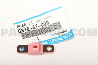 GS1E67099 FUSE (125A)