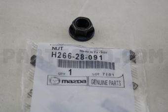 H26628091 NUT