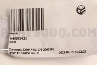 H45055431 BULB