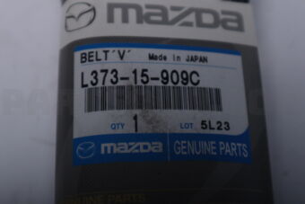 L37315909C BELT V
