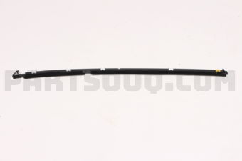 NA0159810F WEATHERSTRIP(L),OUT