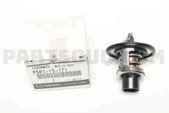 P50115171 THERMOSTAT