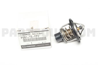 P50115171 THERMOSTAT