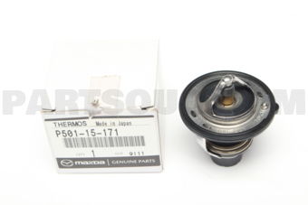 P50115171 THERMOSTAT