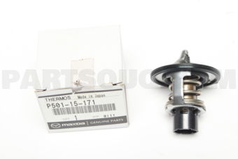 P50115171 THERMOSTAT