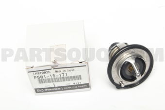 P50115171 THERMOSTAT