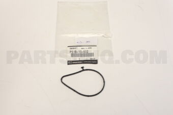 P51B10502 GASKET