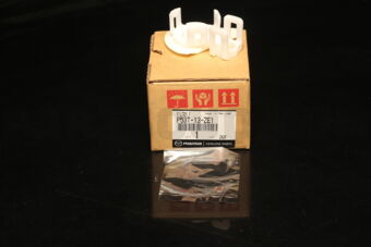 P53T13ZE1 FILTER,FUEL PUMP