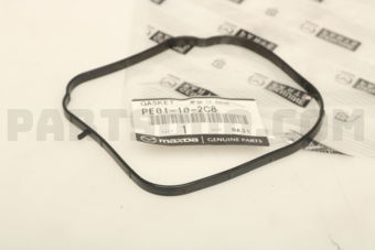 PE01102C8 GASKET