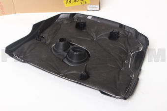 PE11102F0 PLATE,PLUG HOLE