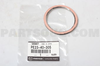 PE2340305 GASKET