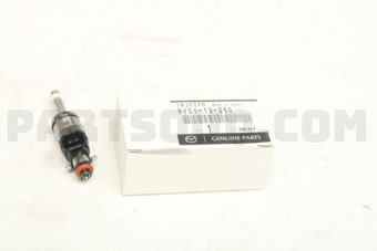 PY0113250 FUEL INJECTOR