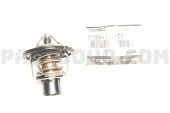 PY8V15171 THERMOSTAT