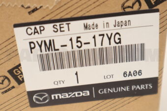 PYML1517YG CAP SET,FILLER-RADIA