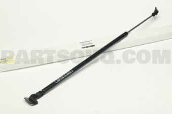 S46D62620A STAY(R),DAMPER