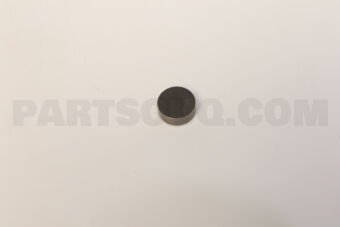 SE0112118 CAP,VALVE