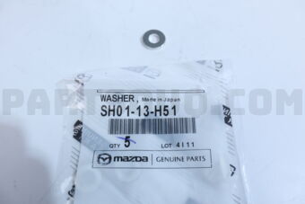 SH0113H51 WASHER,NOZZLE