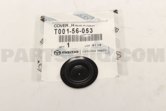 T00156053 COVER,HOLE