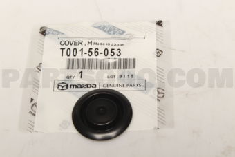 T00156053 COVER,HOLE