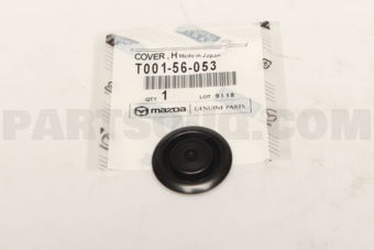 T00156053 COVER,HOLE