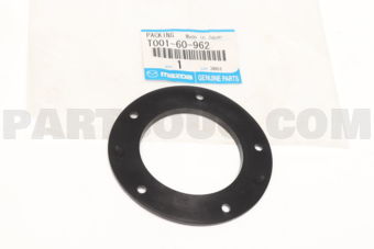 T00160962 GASKET