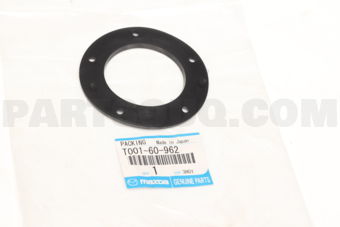 T00160962 GASKET