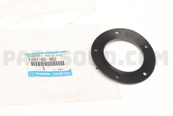 T00160962 GASKET