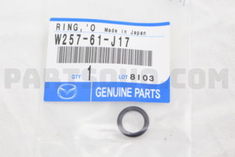 W25761J17 RING,O-NO.1