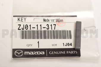 ZJ0111317 KEY