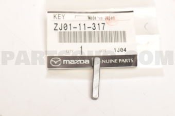 ZJ0111317 KEY