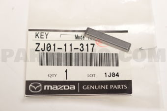 ZJ0111317 KEY
