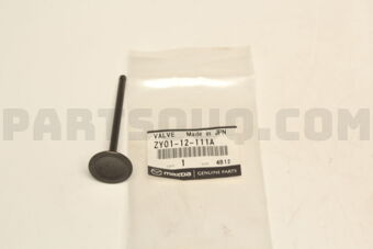 ZY0112111A VALVE,INLET