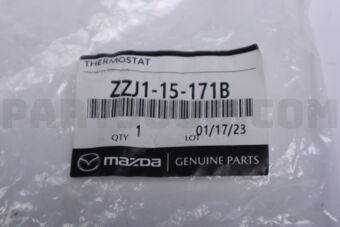 ZZJ115171B THERMOSTAT