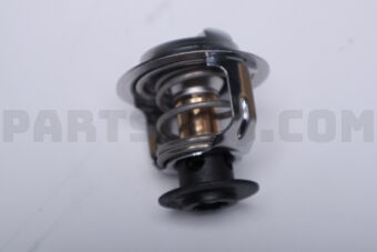 ZZJ115171B THERMOSTAT
