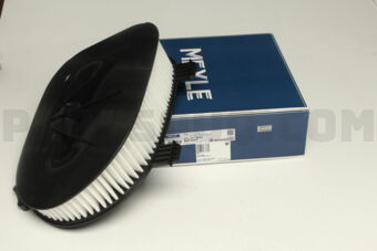 3123210035 AIR FILTER-X3/X5/X6-2010