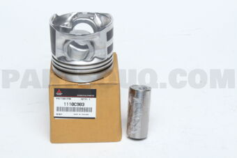 1110C903 PISTON &amp; PIN ASSY