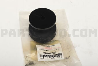 5070A234 CUSHION,BODY MOUNTIN