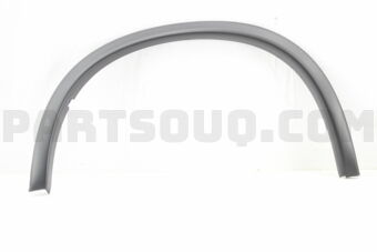 5220K207 MOULDING,FR WHEEL AR