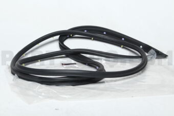 5725A049 W/STRIP,FR DR OPNG,O