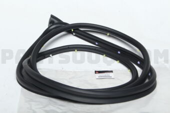 5725A049 W/STRIP,FR DR OPNG,O