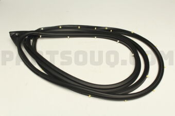 5725A315 W/STRIP,FR DR OPNG,O