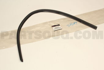 5725A319 W/STRIP,F/DR OPENING