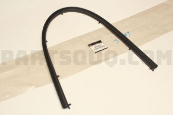 5725A319 W/STRIP,F/DR OPENING