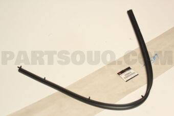 5725A319 W/STRIP,F/DR OPENING
