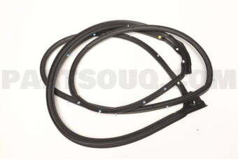 5725A346 Mitsubishi W/STRIP,FR DR OPNG,O