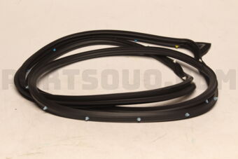 5725A394 W/STRIP,FR DR OPNG,O
